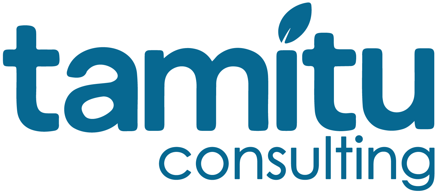 Tamitu Consulting - Educational Technology Experts